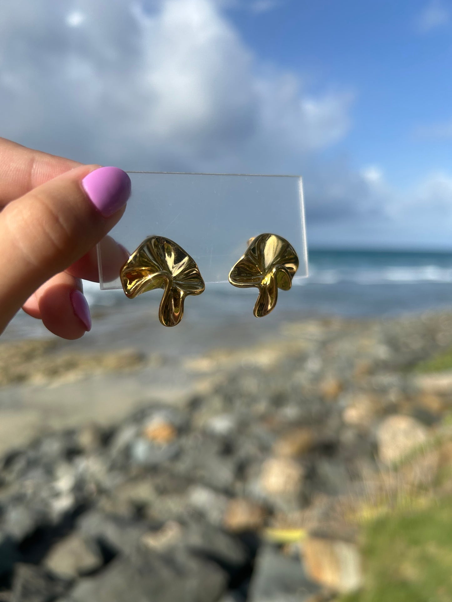 margaret earring✨