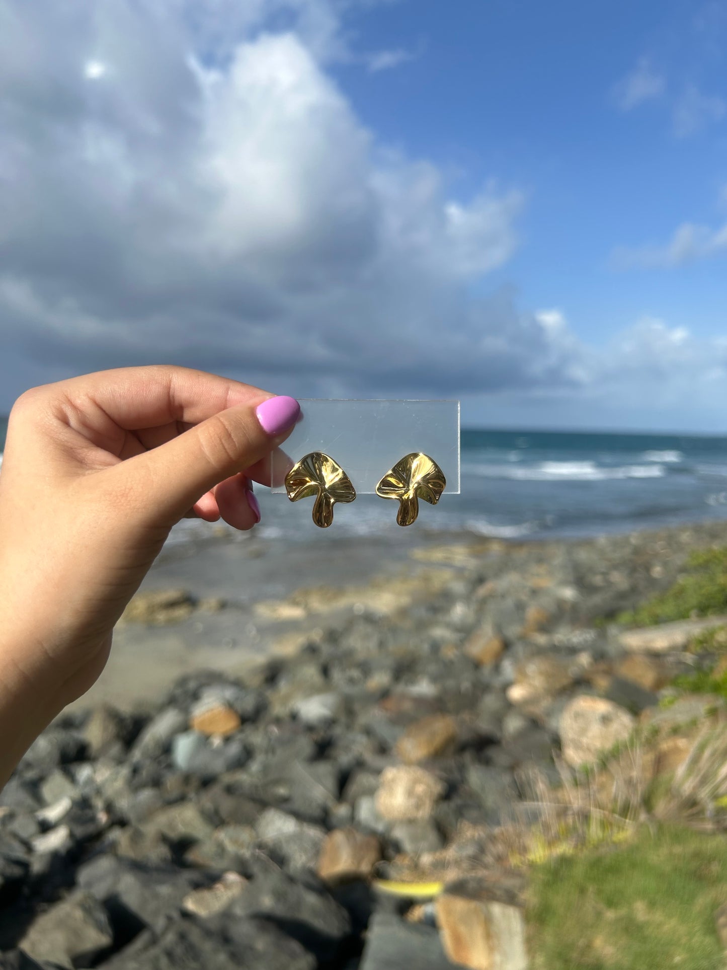 margaret earring✨